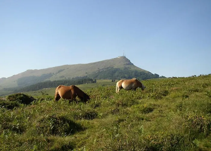 Logis & Restaurant Bergeret Sport Hendaye